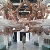 Julie Paje's photo