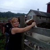 Shelli Cookes foto