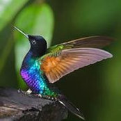 Hollan McBride's photo
