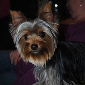 Renee White's photo