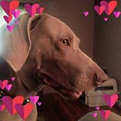 Foto von Mamad Hamilton