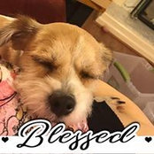 Pam Kennington's photo