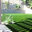 HyBrid Turf of California