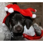Jason Weber's photo