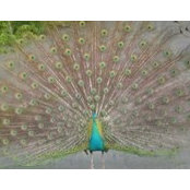 Maddie Jones's photo