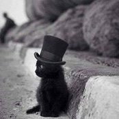 Cindy Moser's photo