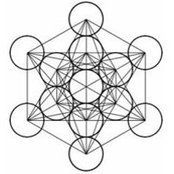 Megan Steinbeck's photo
