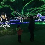 Jackie Haley's photo