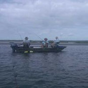 Jim Harrelson's photo