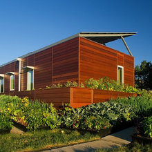 green home