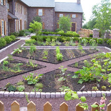 Garden Ideas