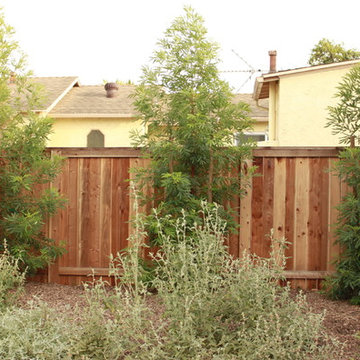 Venice Dry Creek