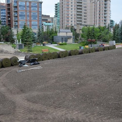 Peace Bridge Big Roll Sod - Products