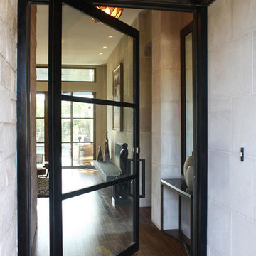 Modern Pivot Iron Door