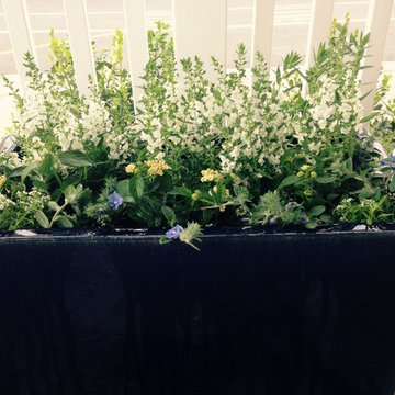 Container Gardens