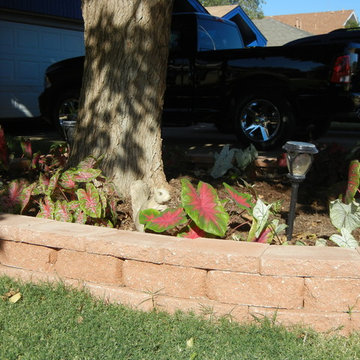 Raised flowerbed