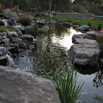 Livermore Estate