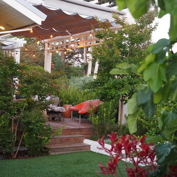Sharon Park