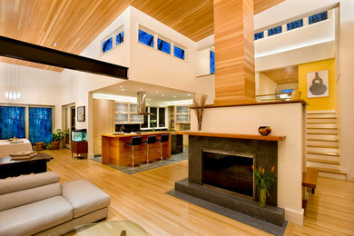 Photo of a contemporary living room in Boston.