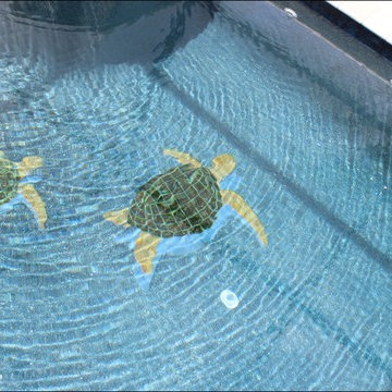 Custom Swimming Pool & Spa With Travertine