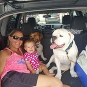 Foto von Melissa Mitchell