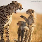 Yousra Mostafa's photo