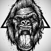 Michael Ottinger's photo