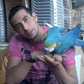 Basel Najim's photo