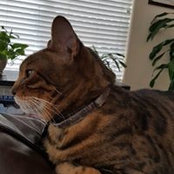 Heather Teixeira's photo