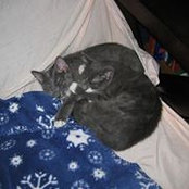 Sabina Vitello's photo