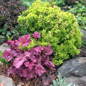 Small Garden Beds