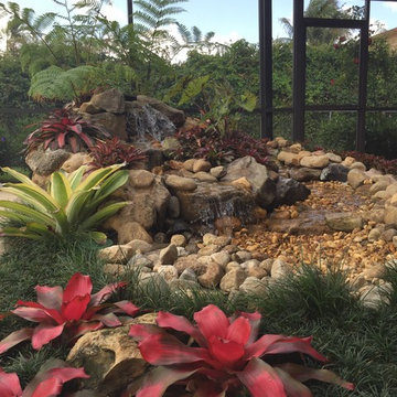 Sanctuary Gardens Projects