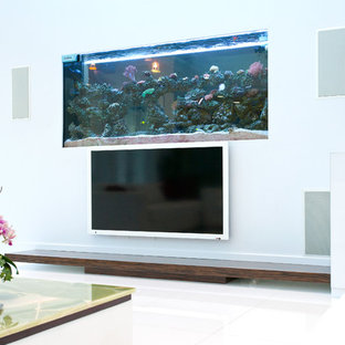 Modern Fish Tanks Living Room Ideas Photos Houzz