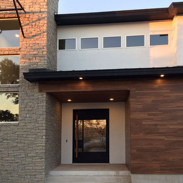 Contemporary/Modern Iron Doors