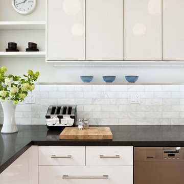 Euro-modern Kitchen