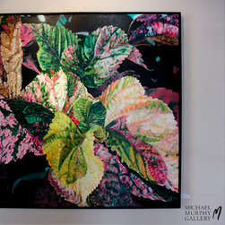 Framing - Products