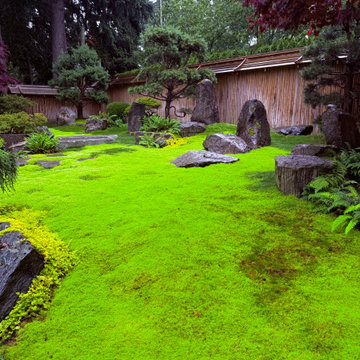 Moss gardens