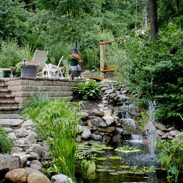 Ponds and Streams