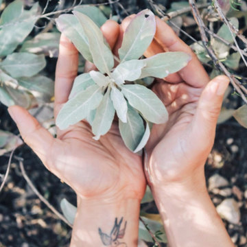 California Native Preplanned Gardens