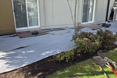 Inspiration for a landscaping in Seattle.