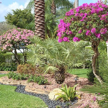 Antigua Garden
