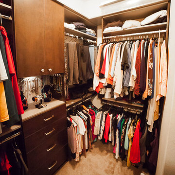 Recent Organization Projects