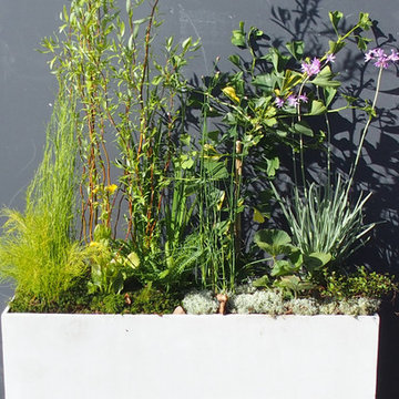 Jardinière allongée pour un balcon, une niche...