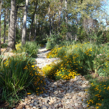 Carlton Woods