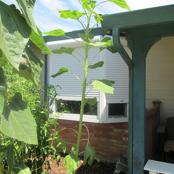 Exterior Rolling Shutters