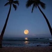 Anjali B's photo