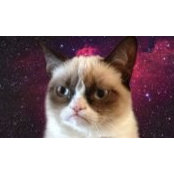 Altınay Baş's photo