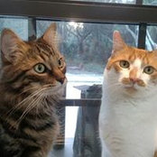 Susan Weaver's photo