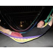 Max Finch's photo