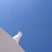 Andre La Motta's photo